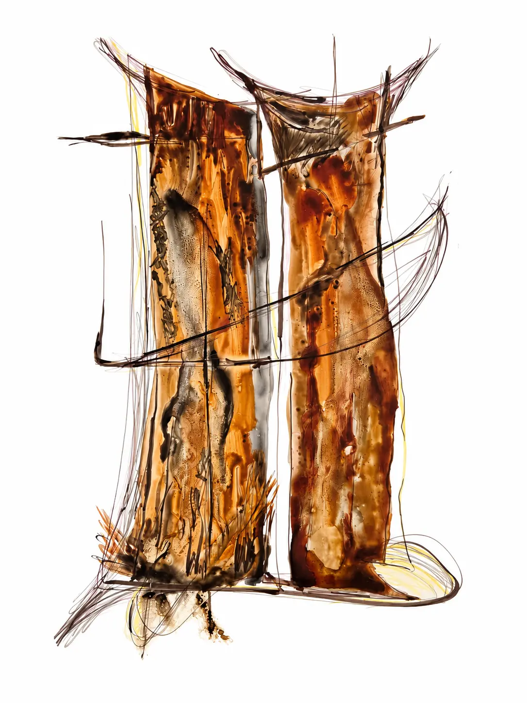 Asado de Tira