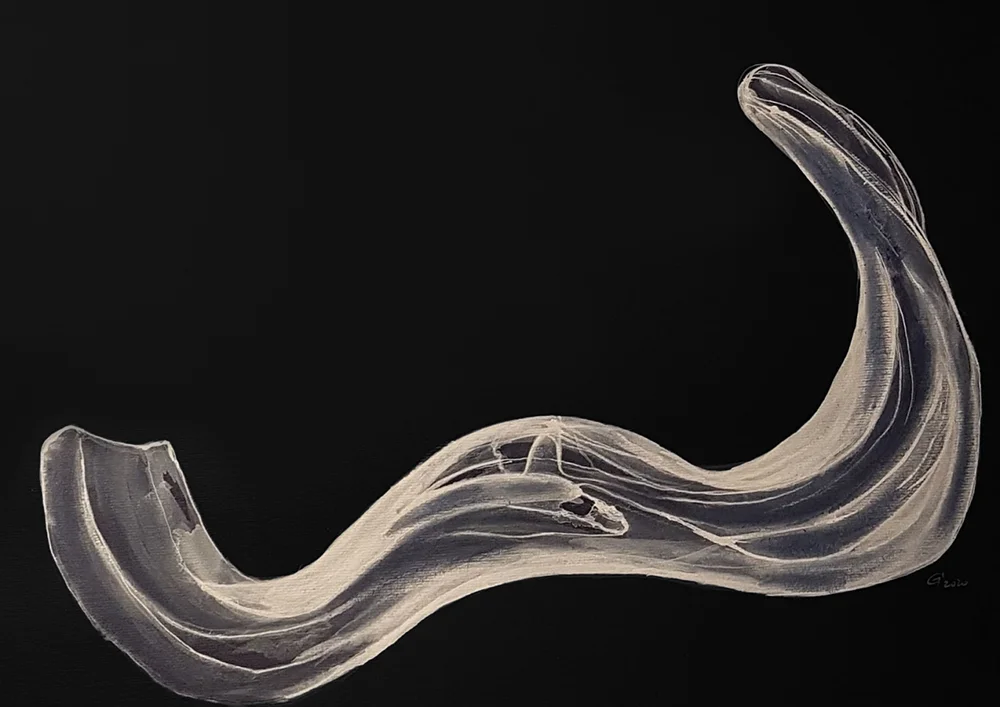 Fear forms