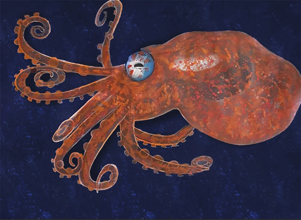 Octopus