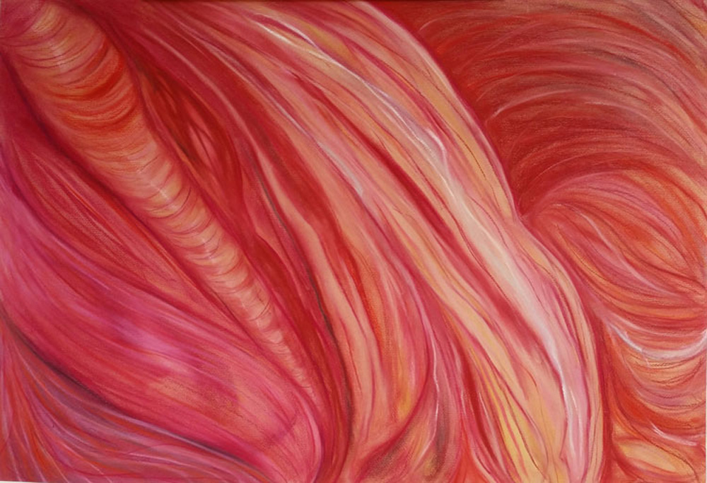 Metamorfosi - immagine 4