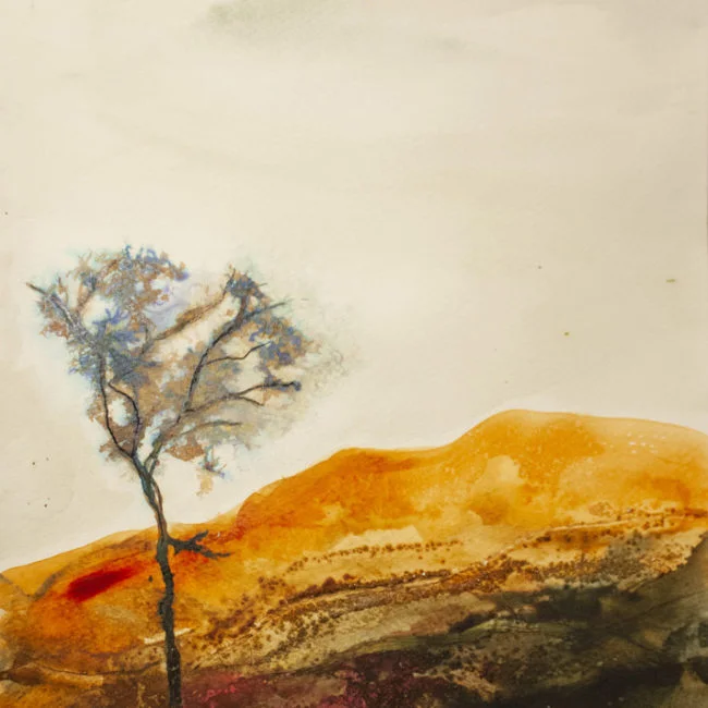 Terre bruciate #2