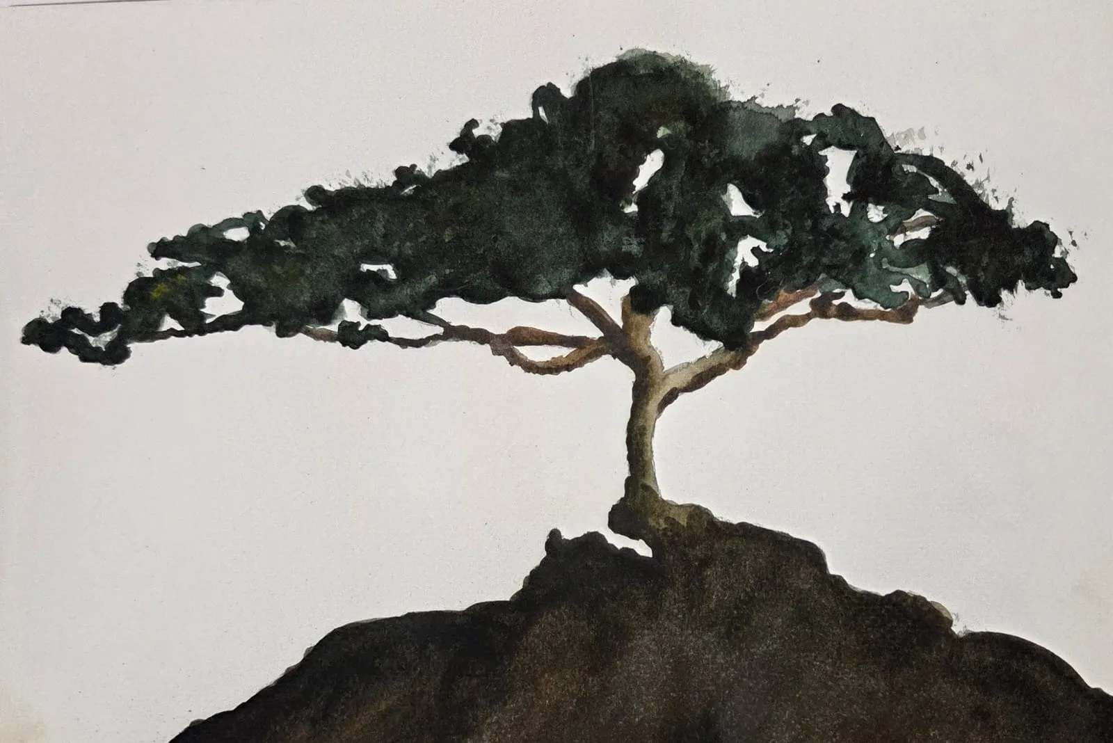 Alberi #2