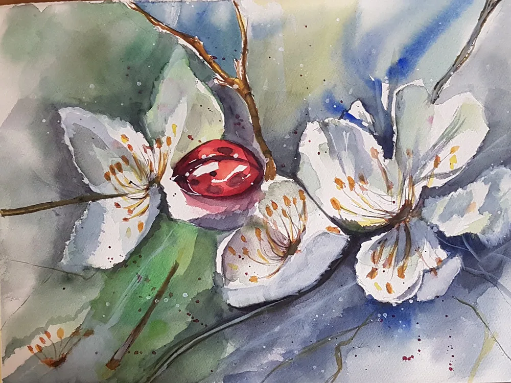 Magnolie bianche
