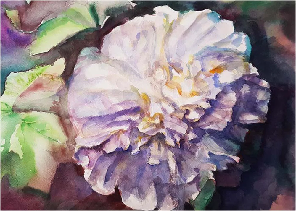 Peonia