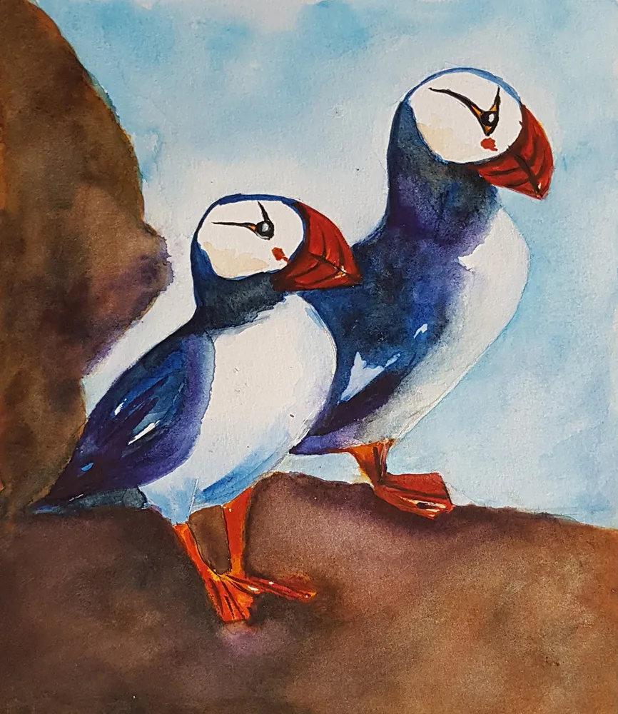 Puffins
