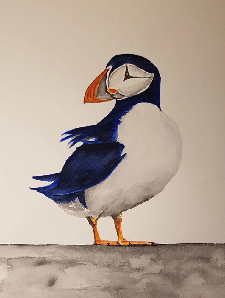 Puffin #3