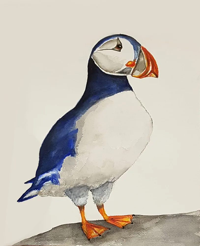 Puffin #1