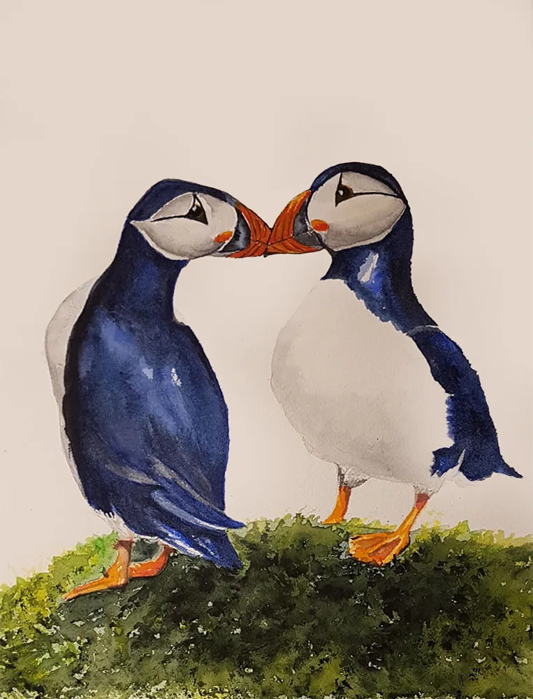 Puffin #2